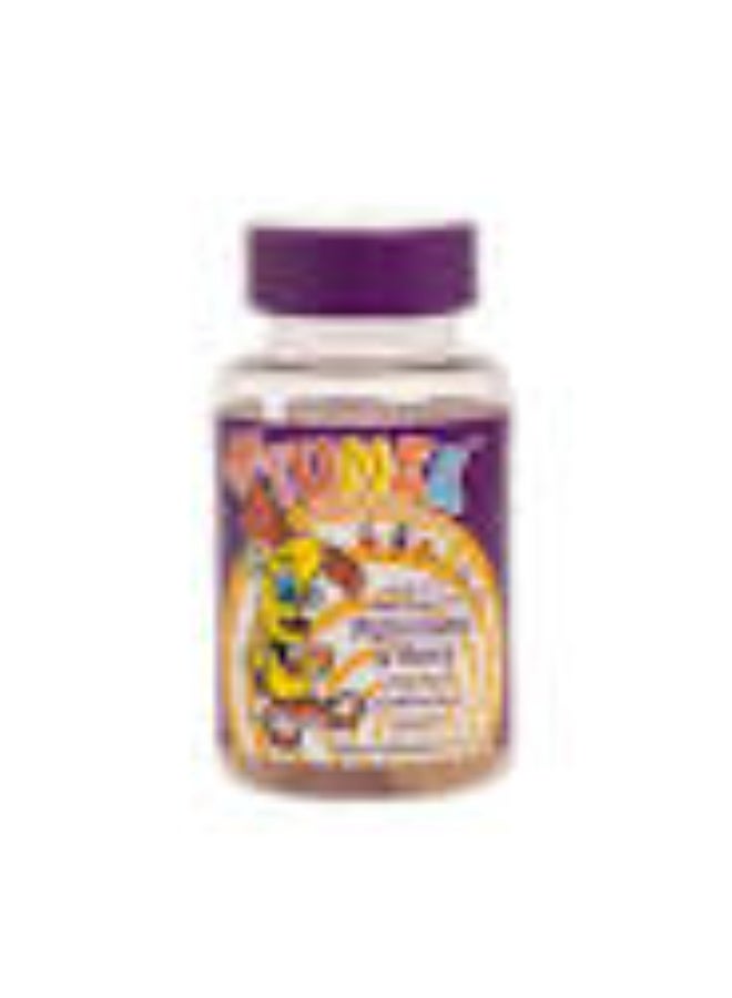 Mr. Tumee Multivitamins and Minerals for Children, 60 Gummies